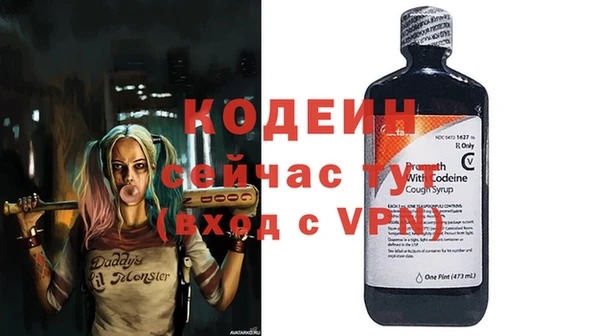 стаф Бородино