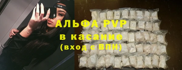 стаф Бородино