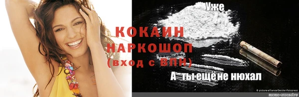 стаф Бородино