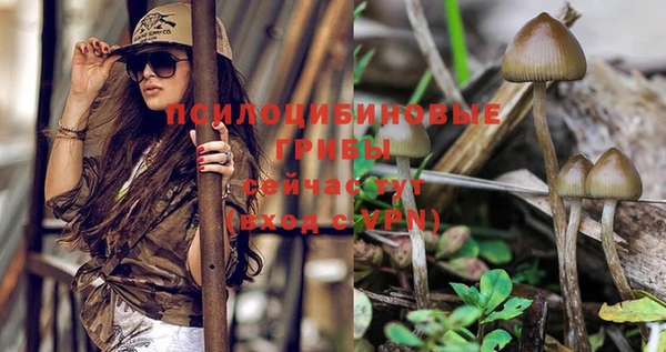 стаф Бородино