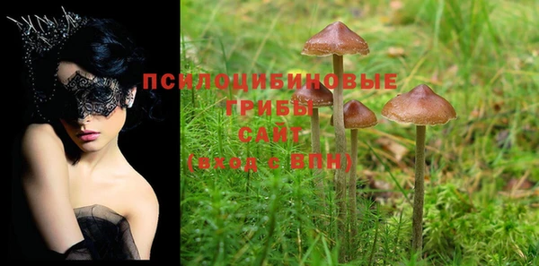винт Бронницы