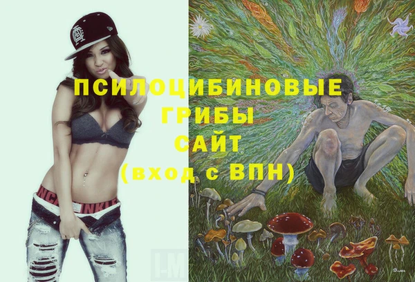 винт Бронницы