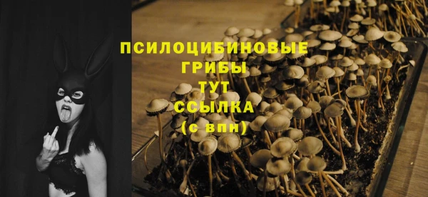 стаф Бородино
