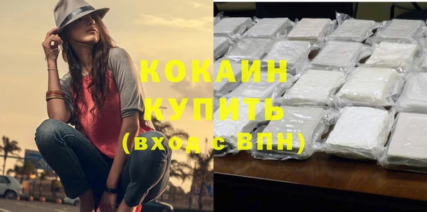 стаф Бородино