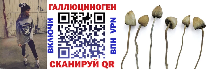Псилоцибиновые грибы Cubensis  наркотики  Можайск 